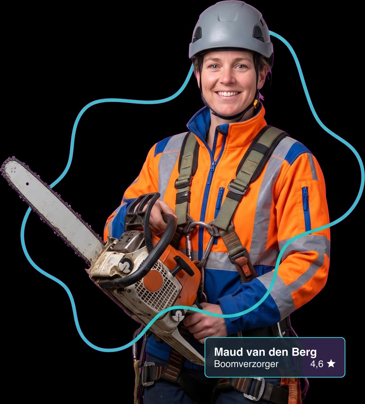 Boomverzorger aan het werk